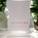 海外市場先鋒獎 2018