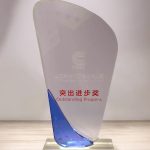 突出進步獎 2017